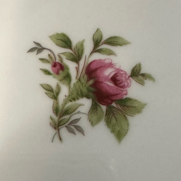 JOHANN HAVILAND Moss Rose (Bavarian Backstamp) 8" Round Vegetable Bowl VTG - Picture 11 of 11